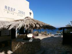 Reef 2000 - Centre